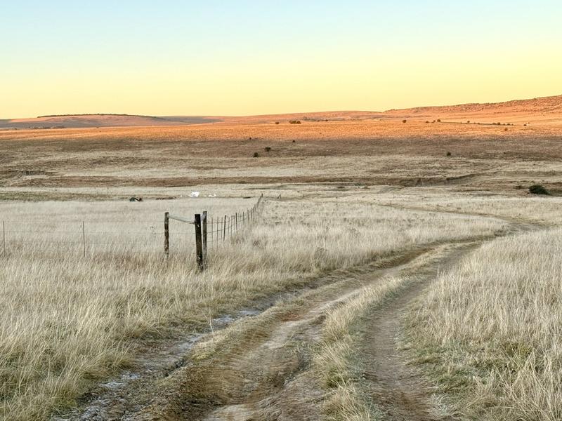 0 Bedroom Property for Sale in Warden Free State